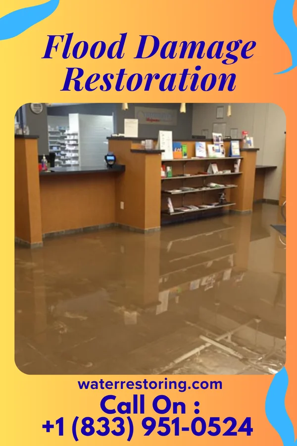 Flood Damage Restoration in Wilmont, MN