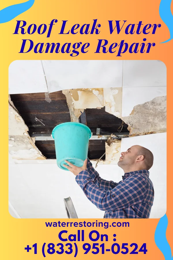 Roof Leak Water Damage Repair in Wilmont, MN